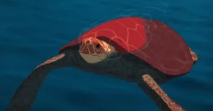 La tartaruga rossa - Immagine: 1
